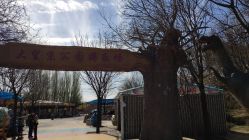 -大望京儿童游乐场