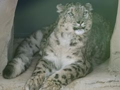 -青藏高原野生动物园