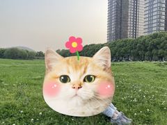 -诺贝尔湖公园
