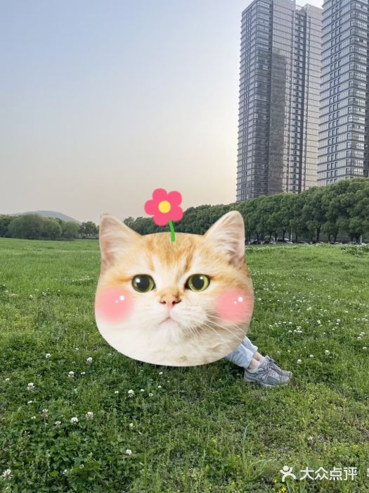 诺贝尔湖公园图片