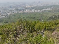 -紫金山山顶公园