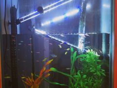 -厦门燕子坞客栈