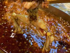 -铭记蛙小仙·活蛙畅享(CBD万达广场店)