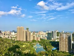 -板樟山森林公园