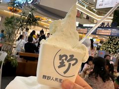 -野人先生Gelato(上海长宁龙之梦店)
