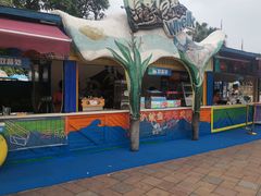 -重庆海昌加勒比海水世界