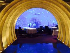 -迪拜帆船酒店海底餐厅