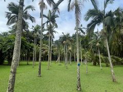 -中国科学院西双版纳热带植物园