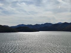 -望湖烤鱼