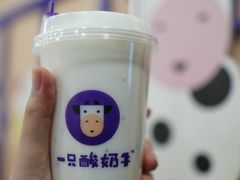 -一只酸奶牛(八一路店)