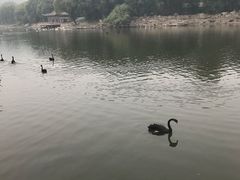 -石家庄市动物园