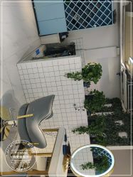 -飞梵造型