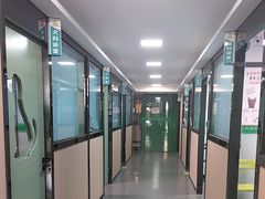 -半岛宠物医院24小时(科华中路店)