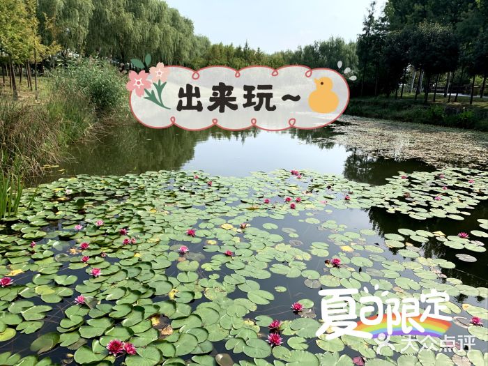 北龙湖湿地公园图片