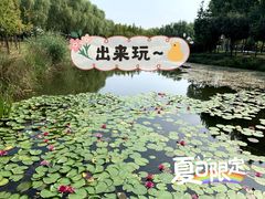 -北龙湖湿地公园