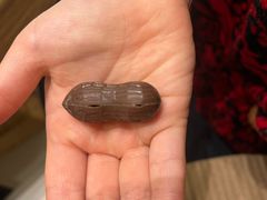 -竹鲜笙全竹宴(国色天香店)