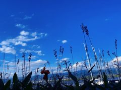 -西昌邛海湿地