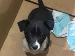 -海岸城停车场(海岸城店)