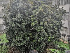-湖北经济学院-图书馆