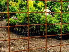 -维乐口腔医院(福清院)