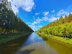 -黄海国家森林公园