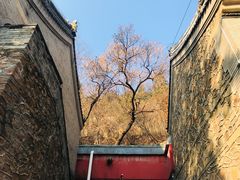 -潭柘寺景区