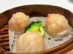 -新雅粤菜馆(南京东路店)