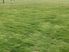 -白沙门生态公园