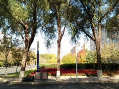-吉林大学(前卫南区)