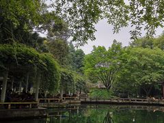-温江公园