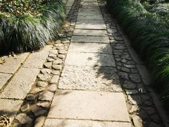 -八卦田遗址公园