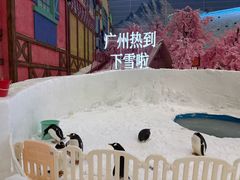 -广州热雪奇迹