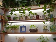 -爸爸糖手工吐司(苏州环球188店)