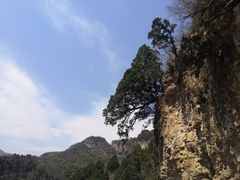 -北京上方山国家森林公园