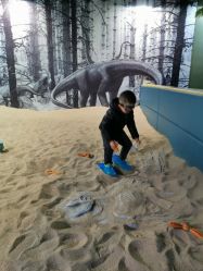 -恐龙探索乐园(磁器口店)