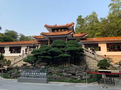 -深圳仙湖植物园