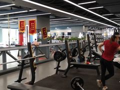 器械区-金吉鸟健身游泳