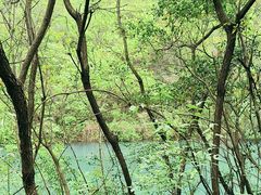 -郧西五龙河风景区