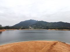 -广州市流溪河国家森林公园