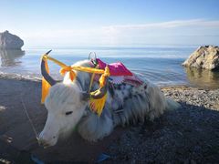 -青海湖国家重点风景名胜区