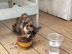 -UNIUNI(凯瑟琳广场店)