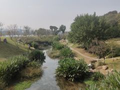 -羊山湖公园