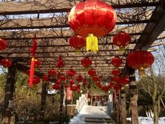 -白马涧龙池景区
