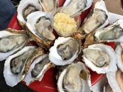 -大象营野Life营地·钓虾(坦尾店)