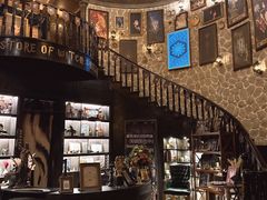 -雪灵魔法世界SHELLY’S TAROT(大良桂畔里店)