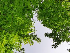 -陕西省西安植物园