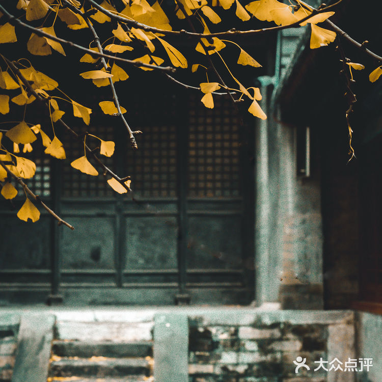错过大觉寺的银杏，你就错过了整个北京的秋