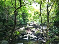 -白云源风景区