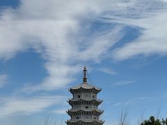 -嘉荫恐龙国家地质公园