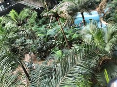 -黑龙江中医药大学附属第一医院